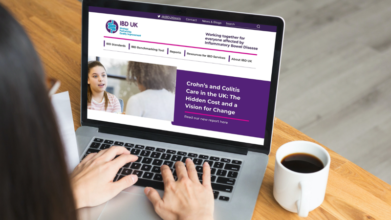 IBD Standards Website on Computer